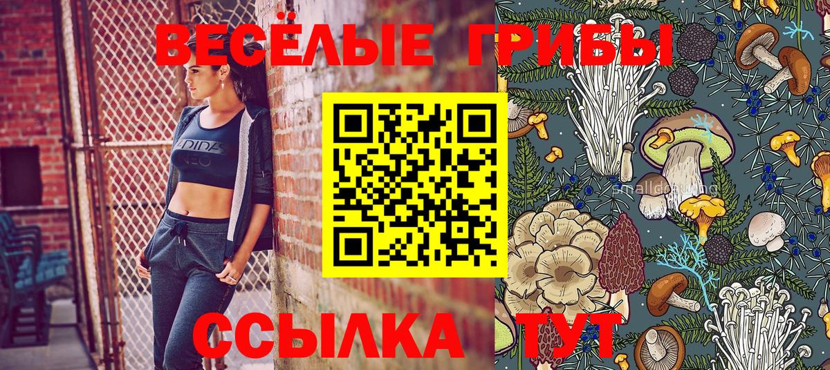 Галлюциногенные грибы MAGIC MUSHROOMS Нальчик