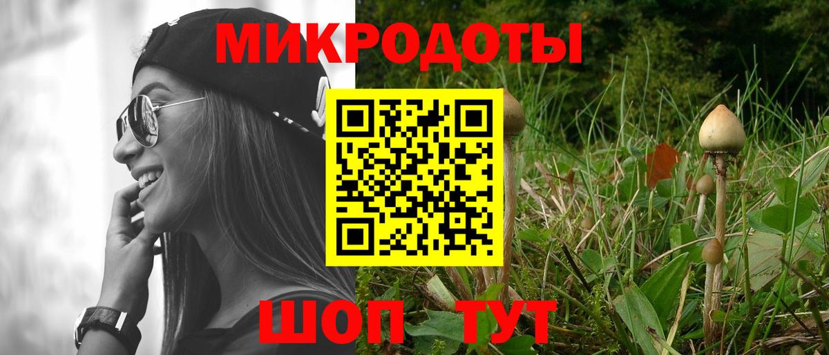 Галлюциногенные грибы MAGIC MUSHROOMS  Вход с VPN  Нальчик 