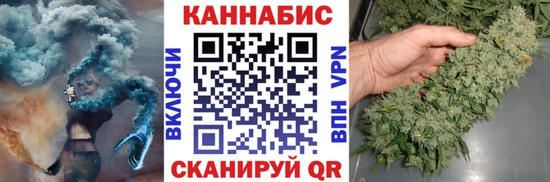 закладка  Нальчик  Конопля сатива 